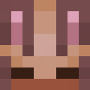 Player skin of sodop