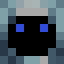 Player skin of TomyLobo