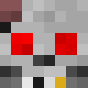 Player skin of LSGBri10