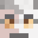 Player skin of fireflamedramon