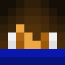 Player skin of flyingcats13