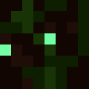 Player skin of forestgaurdian