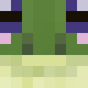 Player skin of frogdogmog