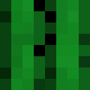 Player skin of gamerproAR