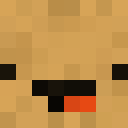 Player skin of gayming