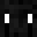 Player skin of geck0_o
