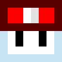 Player skin of gnomik