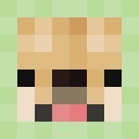 Player skin of greendogplay