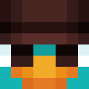 Player skin of hatesleep