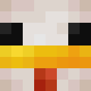 Player skin of huhn