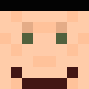 Player skin of icarus82