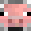 Player skin of jcreepercrusher