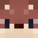 Player skin of jkool2007