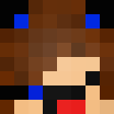 Player skin of karoshi