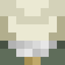 Player skin of keespro2006