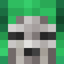 Player skin of kid_fg