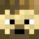 Player skin of kingslayer