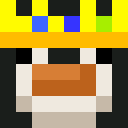 Player skin of kubburinn
