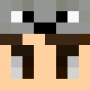 Player skin of lachtan78398