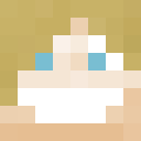 Player skin of lego11