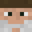 Player skin of legofreak2201