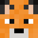 Player skin of lisiak123