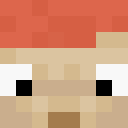 Player skin of marimokuren