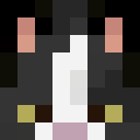 Player skin of me0wzki