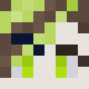 Player skin of melerrific