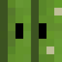 Player skin of melwix2