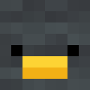 Player skin of memfish2