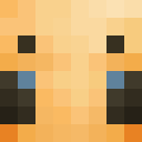 Player skin of micola