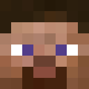 Player skin of microb_2