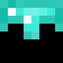 Player skin of minelord2350