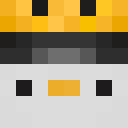 Player skin of minxhm