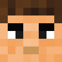 Player skin of msi