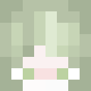 Player skin of nnerie