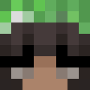 Player skin of p3rvi