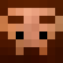 Player skin of papatim57