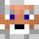 Player skin of papymat2