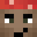 Player skin of paulisbaltins