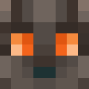 Player skin of pcking_norway