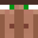 Player skin of peikko57