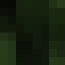 Player skin of petebeth