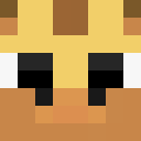 Player skin of pooma2