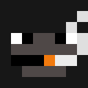 Player skin of predator