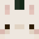Player skin of pwincesslzbwrwlf