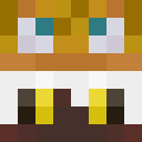 Player skin of rizuda