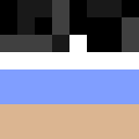 Player skin of robotPastrami