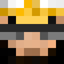 Player skin of rotcepsnI